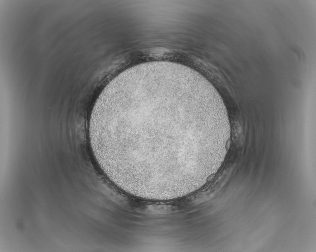 X0000110980470200907171735