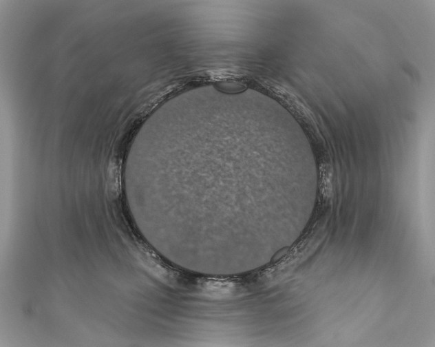 X0000110980471200907171735