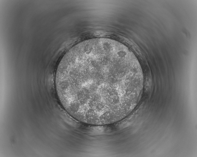 X0000110980473200907171735