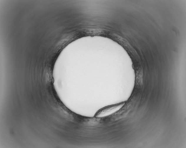 X0000110980474200907171735
