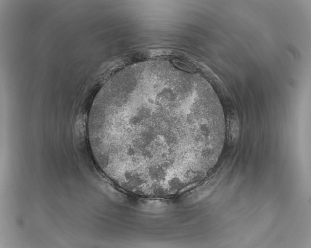 X0000110980475200907171735