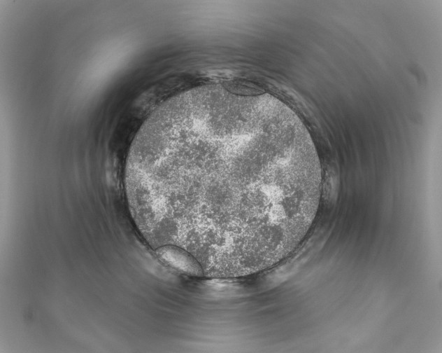 X0000110980477200907171735