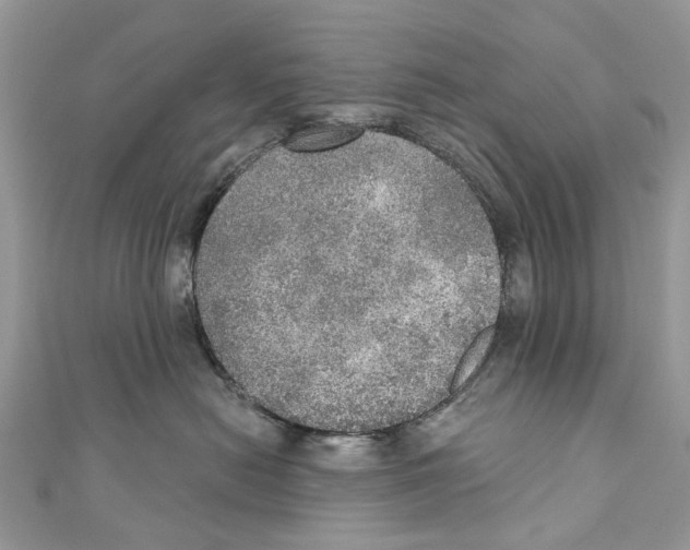 X0000110980478200907171735