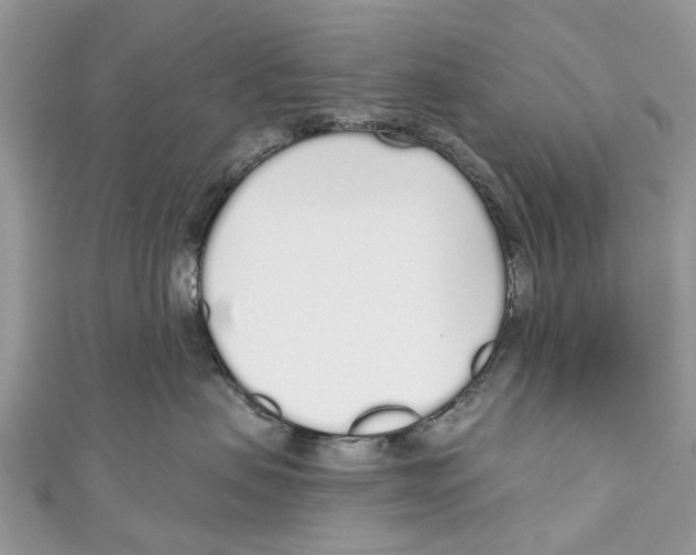 X0000110980479200907171735