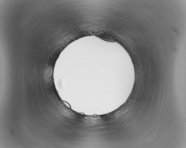X0000110980480200907171735
