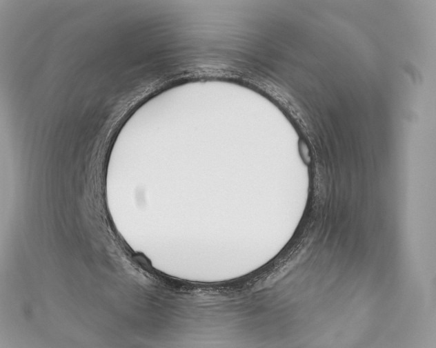 X0000110980481200907171735