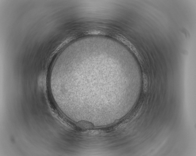 X0000110980482200907171734