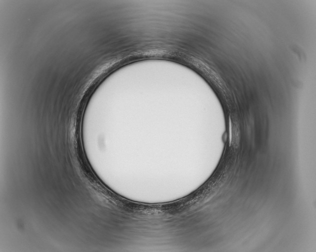 X0000110980483200907171734