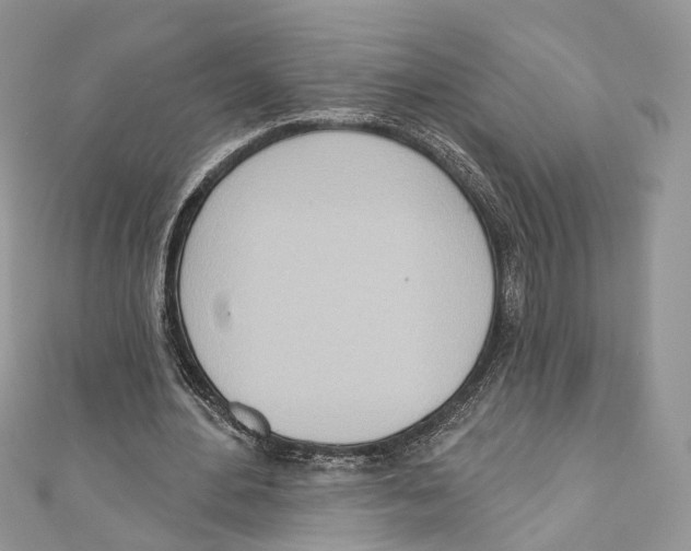 X0000110980484200907171734