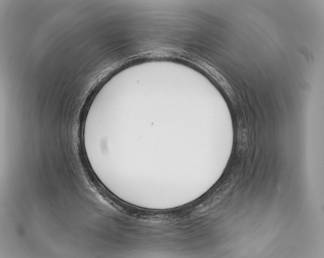 X0000110980485200907171734