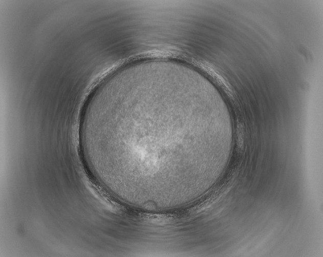 X0000110980486200907171734