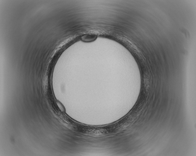 X0000110980488200907171734