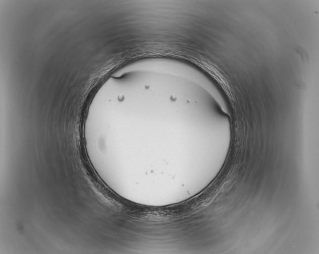 X0000110980489200907171734