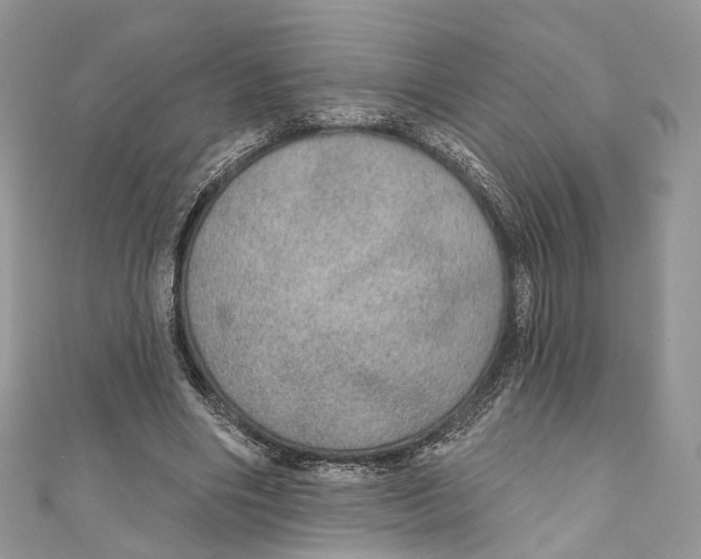 X0000110980490200907171734