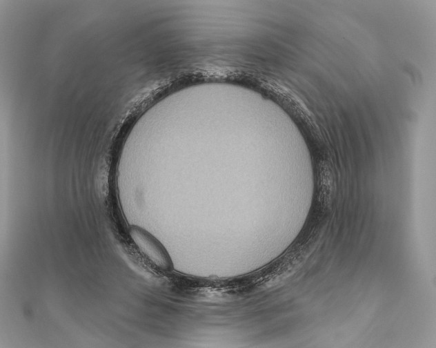 X0000110980496200907171734