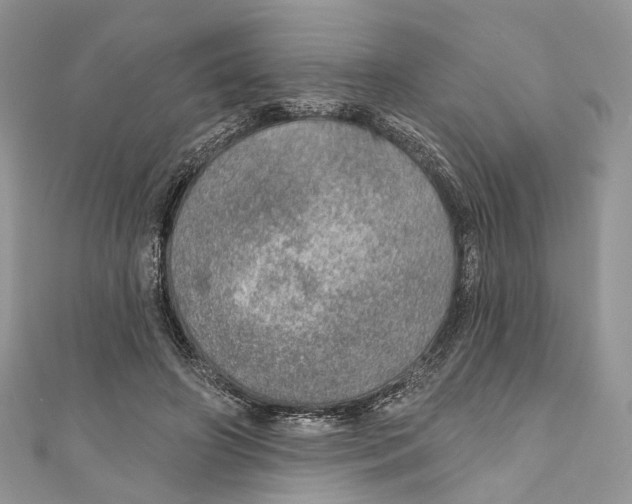 X0000110980498200907171734