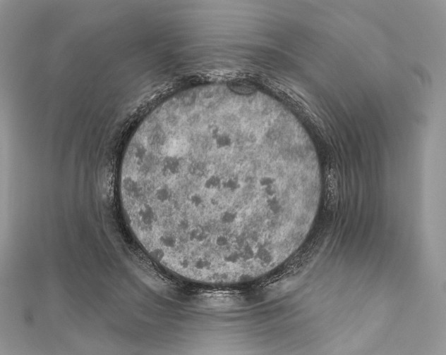 X0000110980499200907171734