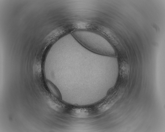 X0000110980500200907171734