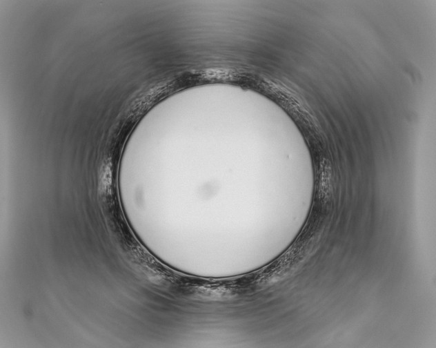 X0000110980502200907171734