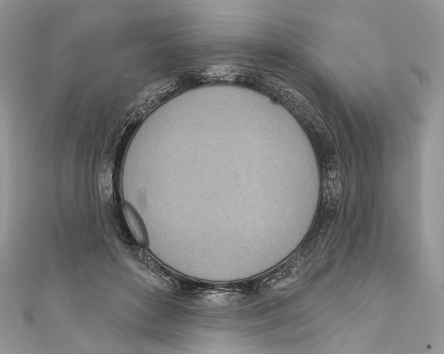 X0000110980504200907171734