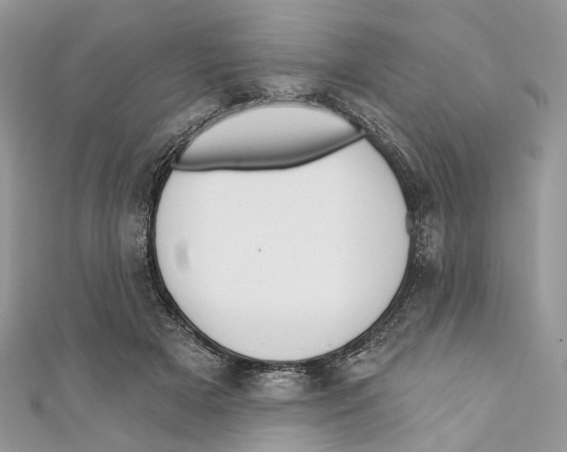X0000110980505200907171734