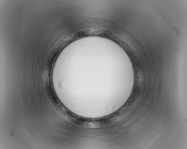 X0000110980506200907171734