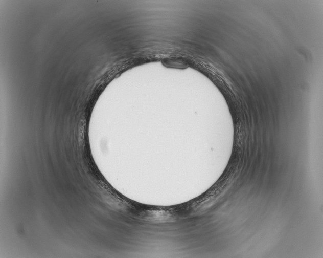 X0000110980509200907171734