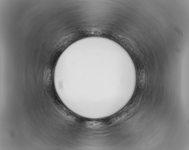 X0000110980511200907171734
