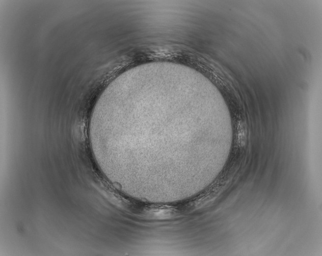 X0000110980514200907171734