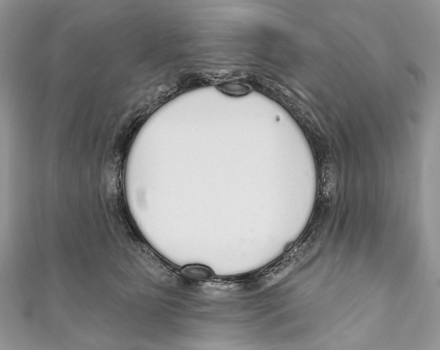 X0000110980515200907171734