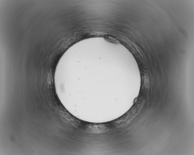 X0000110980517200907171734