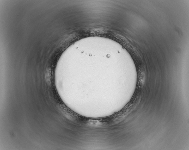 X0000110980519200907171734