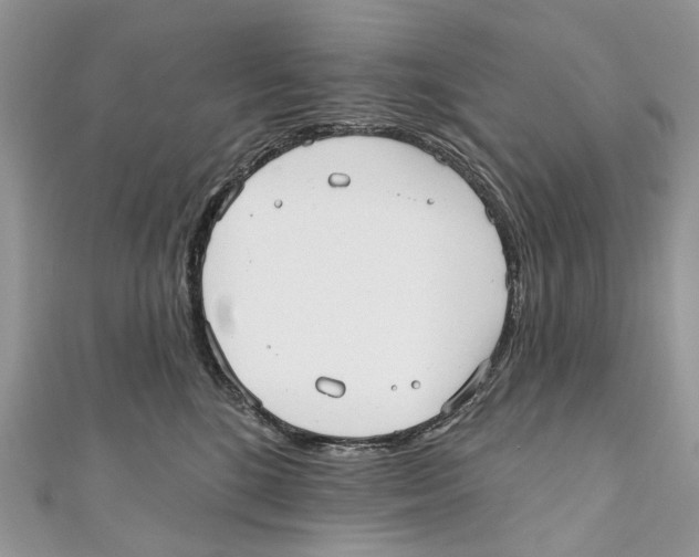 X0000110980520200907171734
