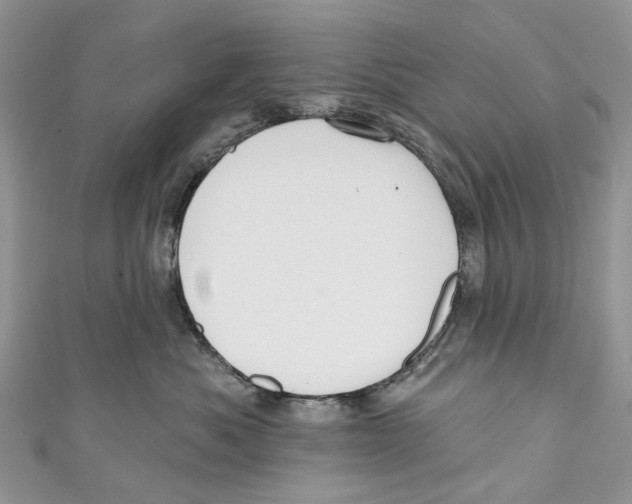 X0000110980525200907171734