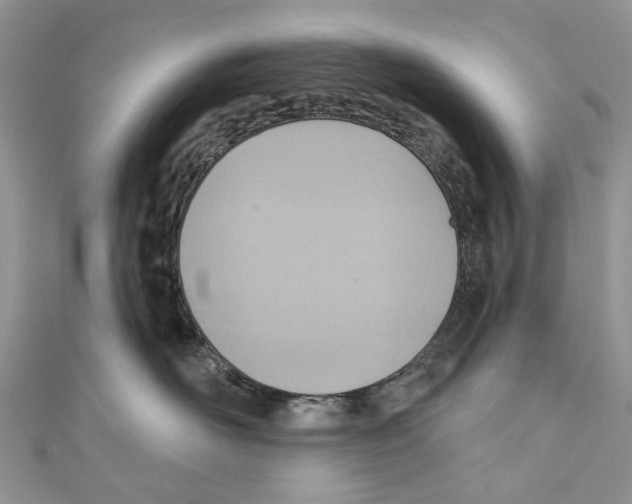 X0000110980526200907171734