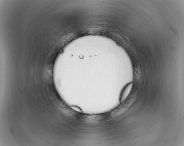 X0000110980527200907171734