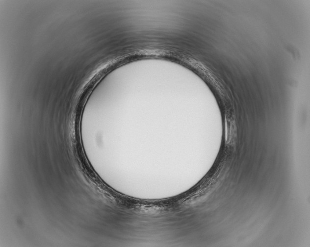 X0000110980531200907171733