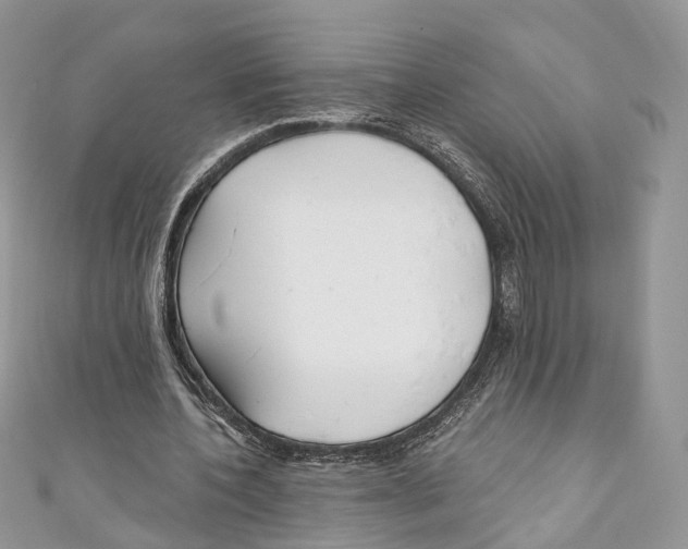 X0000110980532200907171733