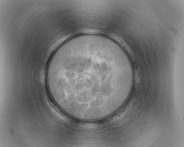 X0000110980533200907171733