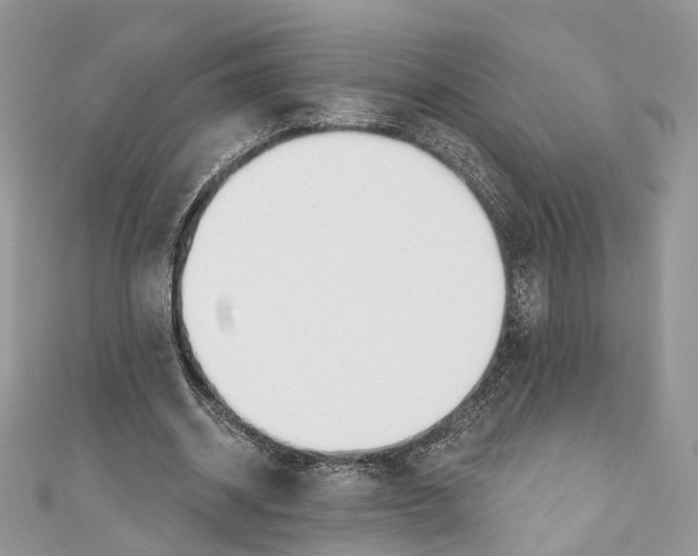 X0000110980534200907171733