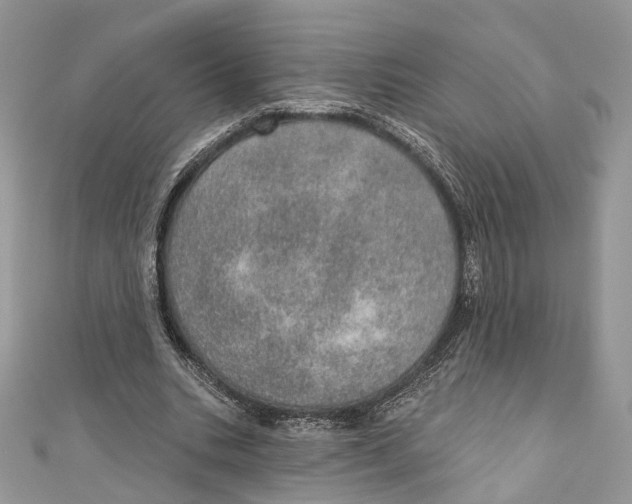 X0000110980535200907171733