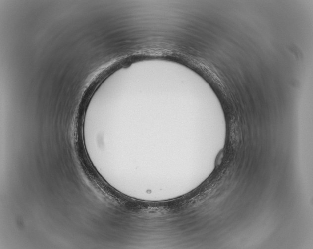 X0000110980536200907171733