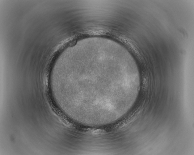 X0000110980539200907171733