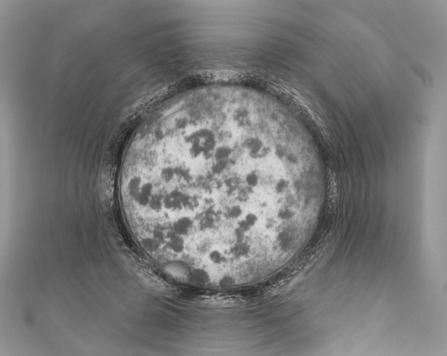 X0000110980545200907171733