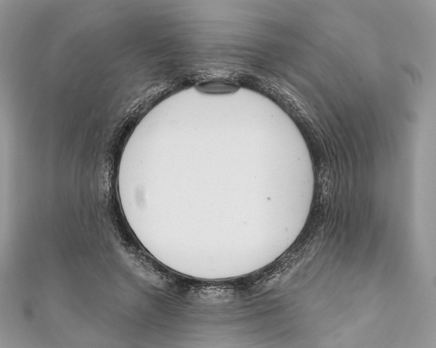 X0000110980546200907171734