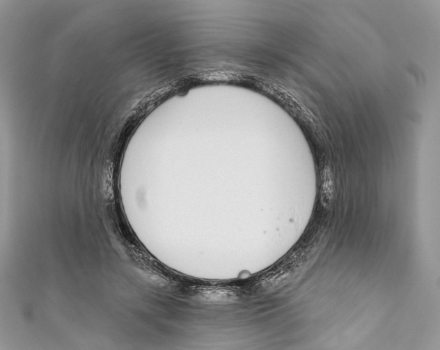 X0000110980547200907171734