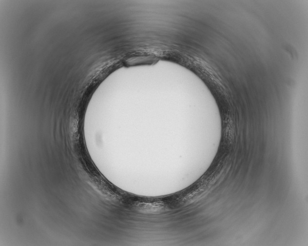 X0000110980548200907171734