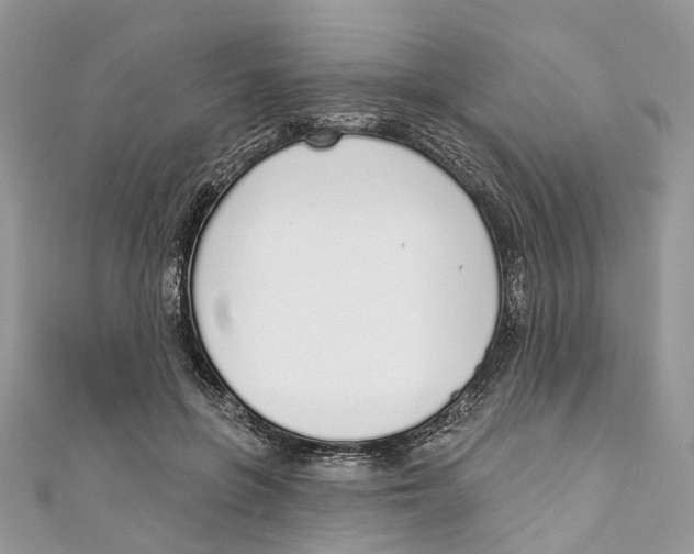 X0000110980551200907171734