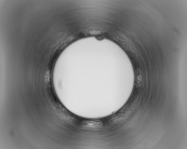 X0000110980555200907171734