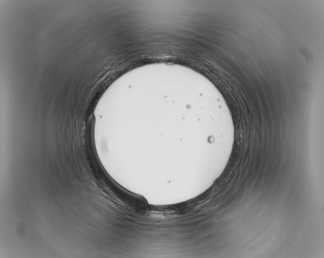 X0000110980556200907171734
